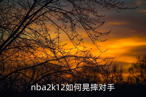 nba2k12如何晃摔对手