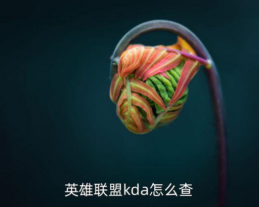 英雄联盟kda怎么查