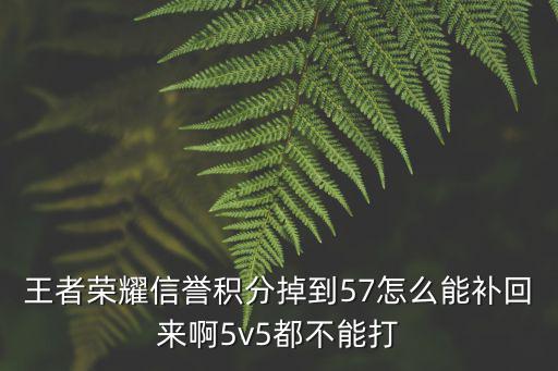 王者荣耀信誉积分掉到57怎么能补回来啊5v5都不能打