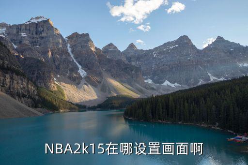 NBA2k15在哪设置画面啊