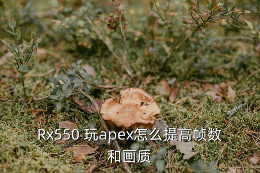 苹果apex手游怎么改画质，Rx550 玩apex怎么提高帧数和画质