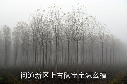 问道新区上古队宝宝怎么搞