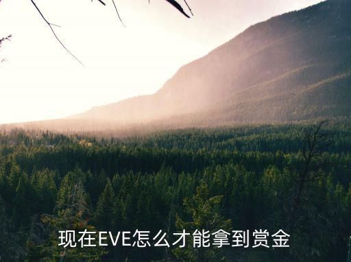 eve手游怎么提高赏金，问问咋增加赏金