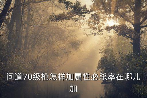 问道70级枪怎样加属性必杀率在哪儿加