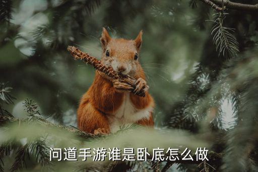 问道手游谁是卧底怎么做