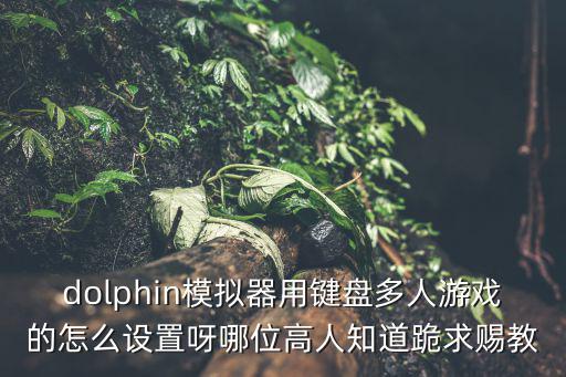 召唤手游怎么用模拟器玩多人合作，dolphin模拟器用键盘多人游戏的怎么设置呀哪位高人知道跪求赐教