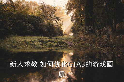 新人求教 如何优化GTA3的游戏画质