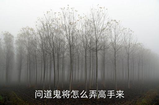 问道鬼将怎么弄高手来