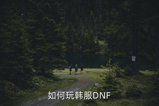 如何玩韩服DNF