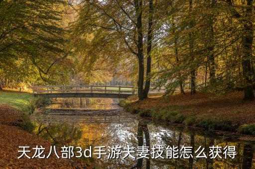 天龙八部3d手游夫妻技能怎么获得