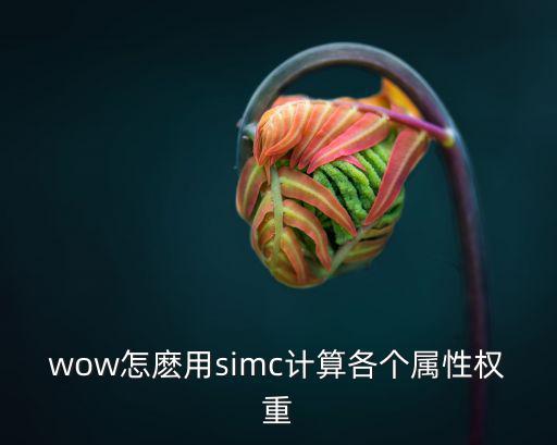 wow怎麽用simc计算各个属性权重