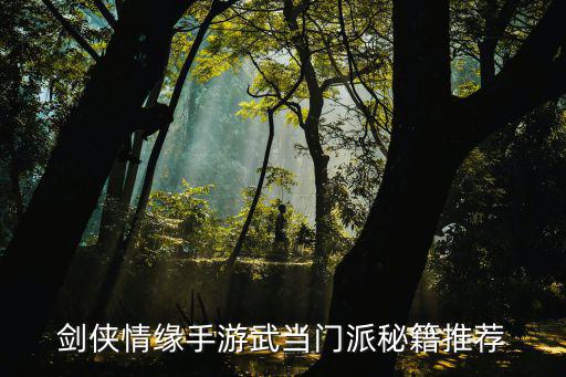 剑侠情缘武当手游怎么玩，剑侠情缘手游武当pvp怎么加点