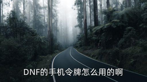 DNF的手机令牌怎么用的啊