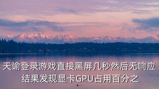 天谕登录游戏直接黑屏几秒然后无响应 结果发现显卡GPU占用百分之