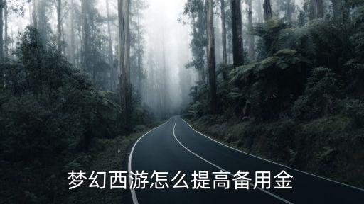 梦幻西游怎么提高备用金