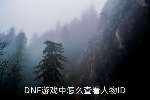 DNF游戏中怎么查看人物ID