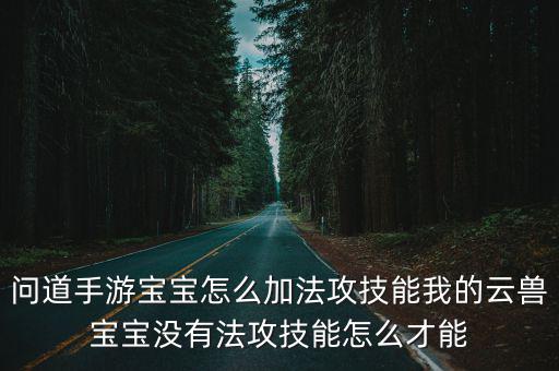 问道手游宝宝怎么加法攻技能我的云兽宝宝没有法攻技能怎么才能