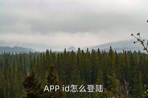 APP id怎么登陆