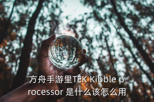 方舟手游里TEK Kibble processor 是什么该怎么用