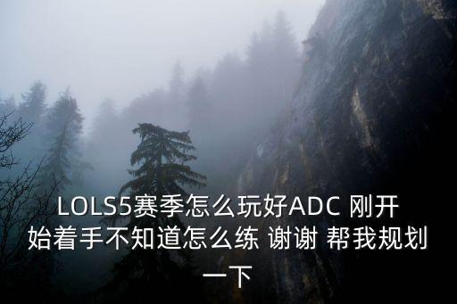 LOLS5赛季怎么玩好ADC 刚开始着手不知道怎么练 谢谢 帮我规划一下