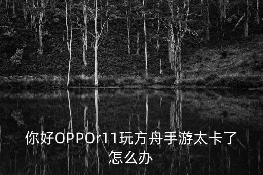 你好OPPOr11玩方舟手游太卡了怎么办