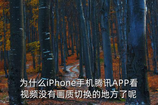 2k22手游苹果怎么调不了画质，为什么无法设置游戏画质