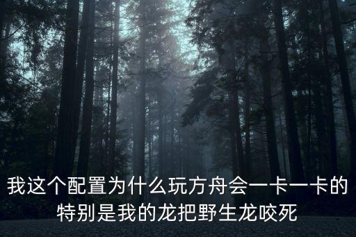 我这个配置为什么玩方舟会一卡一卡的特别是我的龙把野生龙咬死