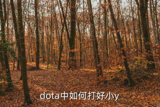 dota手游怎么打小y，DOTA小Y怎么玩