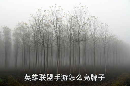 英雄联盟手游怎么亮牌子