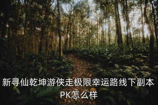 寻仙手游2 乾坤怎么样，新寻仙乾坤游侠走极限幸运路线下副本PK怎么样