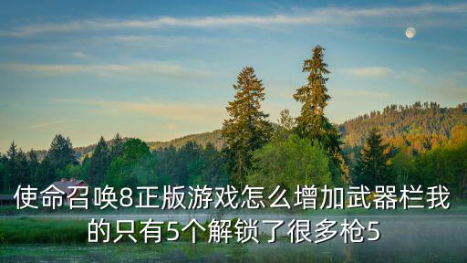 使命召唤8正版游戏怎么增加武器栏我的只有5个解锁了很多枪5