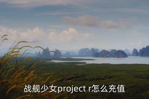 战舰少女project r怎么充值