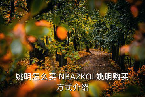 姚明怎么买 NBA2KOL姚明购买方式介绍