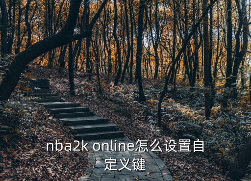 nba2k online怎么设置自定义键