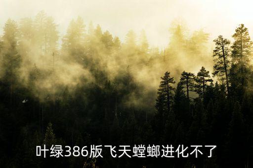 叶绿386版飞天螳螂进化不了