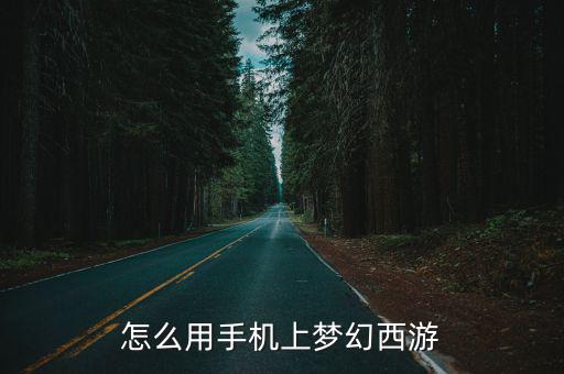 怎么用手机上梦幻西游