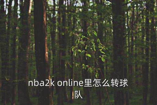 nba2k online里怎么转球队