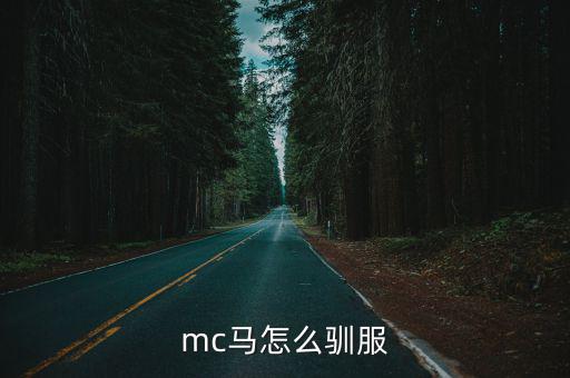 手游mc怎么驯服黑色马，我的世界怎么驯服僵尸马 MC僵尸马怎么驯服