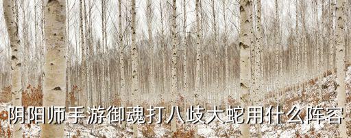 阴阳师手游御魂打八歧大蛇用什么阵容