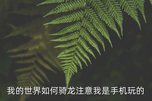 我的世界如何骑龙注意我是手机玩的