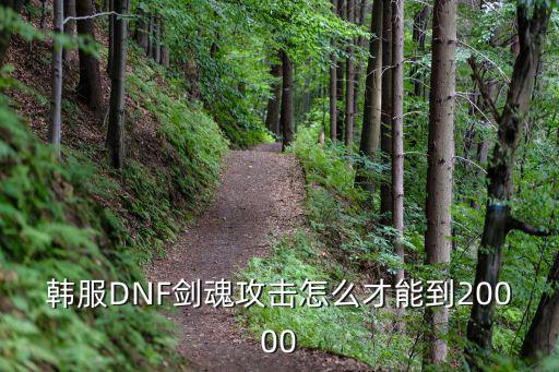 韩服DNF剑魂攻击怎么才能到20000