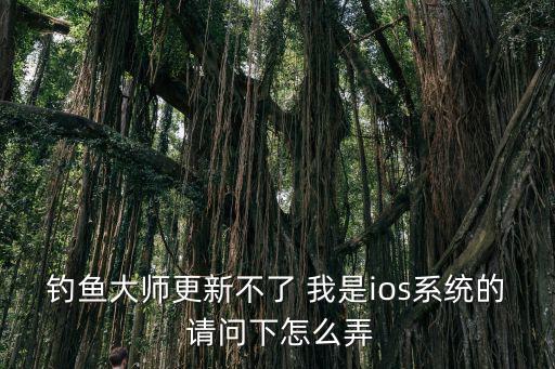 钓鱼大师更新不了 我是ios系统的 请问下怎么弄