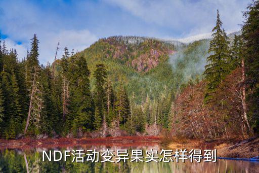 NDF活动变异果实怎样得到