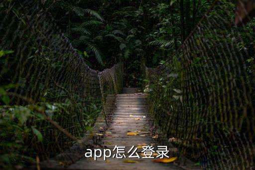 app怎么登录