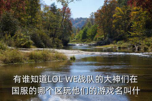 有谁知道LOL WE战队的大神们在国服的哪个区玩他们的游戏名叫什