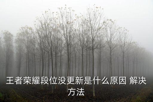 王者荣耀段位没更新是什么原因 解决方法