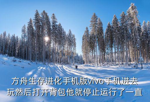 方舟生存进化手机版vivo手机进去玩然后打开背包他就停止运行了一直