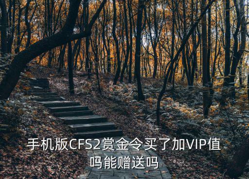 手机版CFS2赏金令买了加VIP值吗能赠送吗