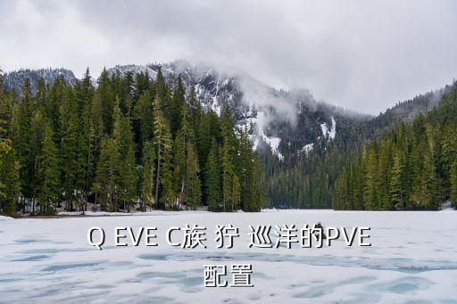 eve手游狞獾刷异常怎么配置，Q EVE C族 狞 巡洋的PVE配置