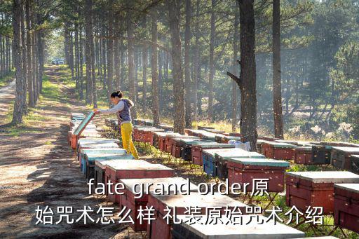 fate grand order原始咒术怎么样 礼装原始咒术介绍